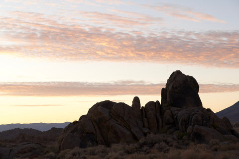 artwork by michael rosenthal for sale 193