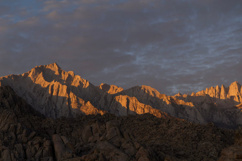 artwork by michael rosenthal for sale 191