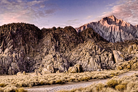 artwork by michael rosenthal for sale 220