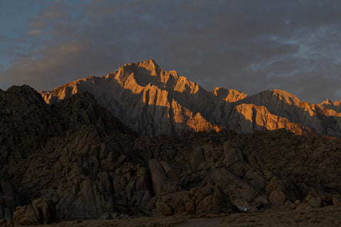 artwork by michael rosenthal for sale 209